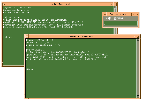 Screen showing the Cluster nodes console windows.