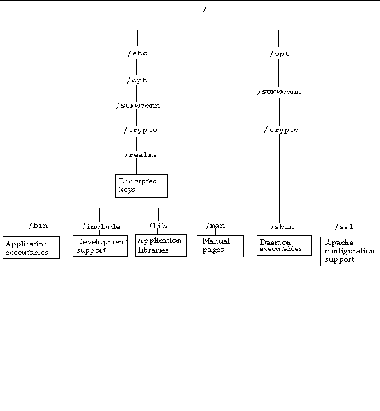 Diagram of the Sun Crypto Accelerator 1000 directories and files hierarchy.
