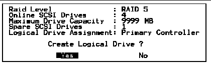 Screen capture showing information to be verified. "Create Logical Drive?" prompt is displayed.