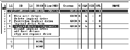 Screen capture shows the "logical drive Assignments" chosen.