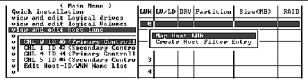 Screen capture shows two mapping options with "Map Host LUN" chosen.