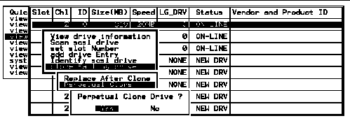 Screen capture shows "Perpetual Clone" chosen and the "Perpetual Clone Drive?" prompt.