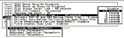 Screen capture showing "Periodic Drive Check Time" chosen and a time interval chosen.