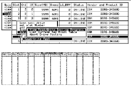 Screen capture showing "View Read/Write Testing Progress" chosen.