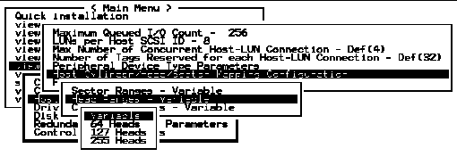 Screen capture showing submenus with "Host Cylinder/Head/Sector Mapping Configuration," "Head Ranges - Variable," and "Variable" chosen.