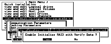 Screen capture showing "Verification on LD Initialization Writes Disabled" chosen and the prompt is "Enable Initialize RAID with Verify Data?" 