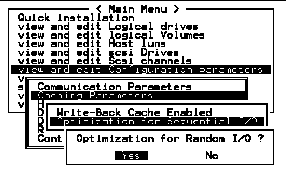 Screen capture showing submenu with "Optimization for Sequential I/O" chosen and "Optimization for Random I/O?" prompt.