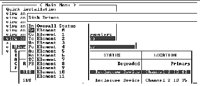 Screen capture shows the "Disk Drives" descriptor.