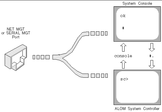 This illustration is a conceptual diagram.