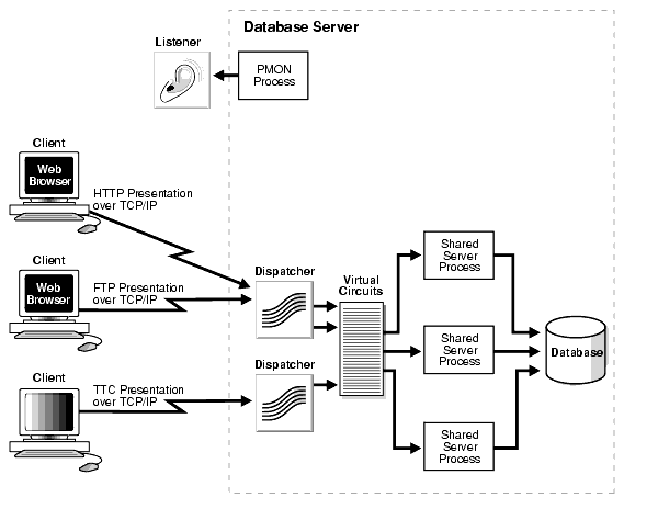 Description of net81116.gif is in surrounding text