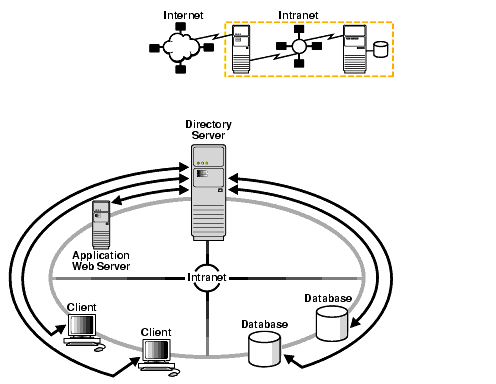 Description of net81120.gif is in surrounding text