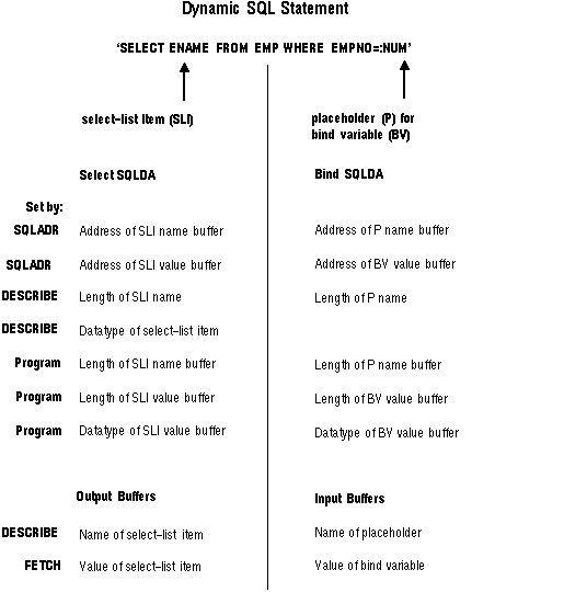 How Variables Are Set