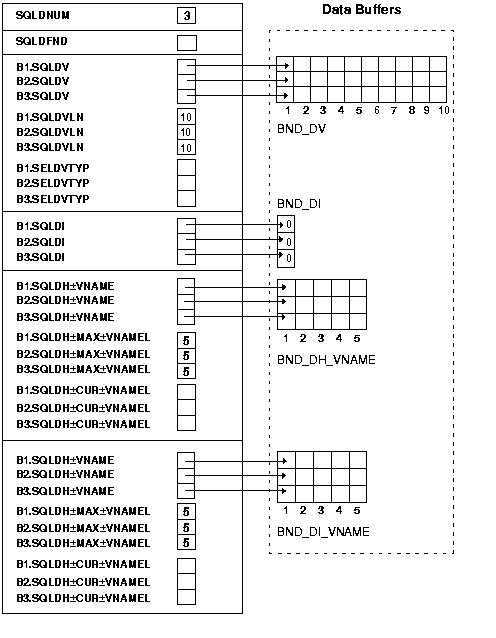 initialized bind descriptor