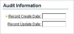 Description of frm_audit.gif follows