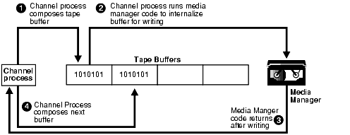 Description of bradv015.gif follows