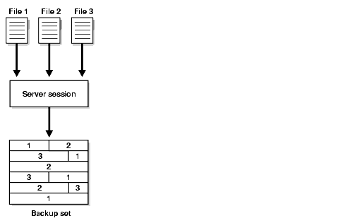 Description of bradv022.gif follows