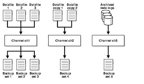 Description of bradv024.gif follows