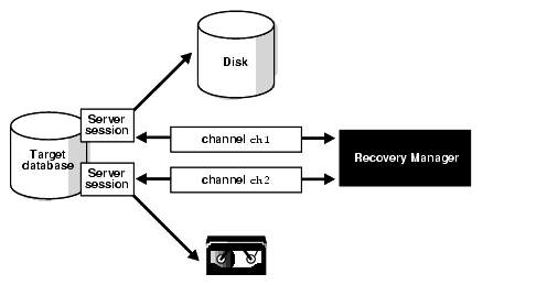 Description of bradv030.gif follows