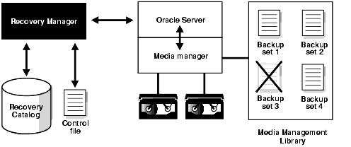 Description of bradv031.gif follows