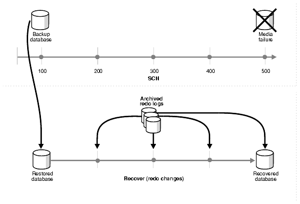 Description of Figure 1-1 follows