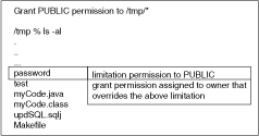 Files in the /tmp directory