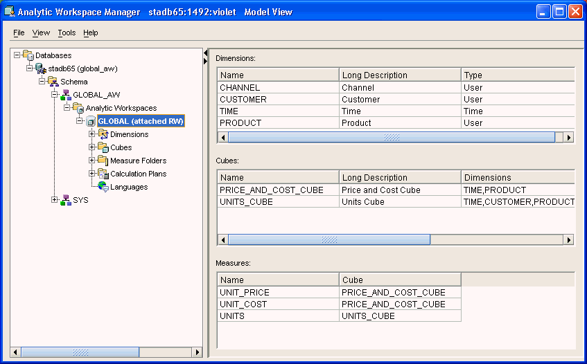 Model View in Analytic Workspace Manager