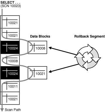 Description of Figure 13-1 follows