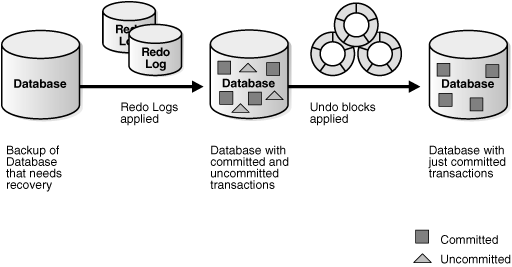 Description of Figure 15-3 follows