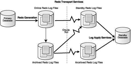 Description of logtrans.gif follows