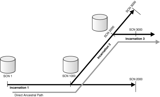 Description of Figure 13-1 follows