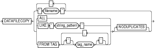 Description of datafilecopyspec.gif follows