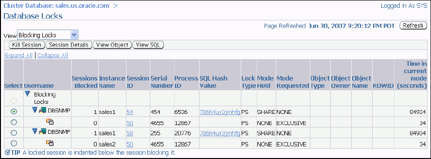 Description of database_locks.gif follows