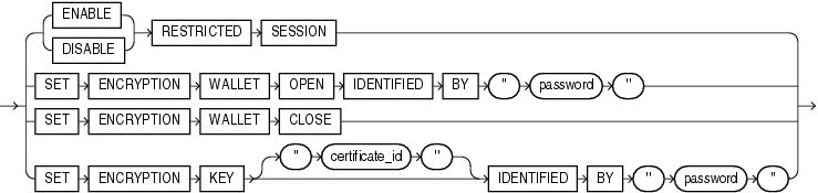 Description of alter_system_security.gif follows