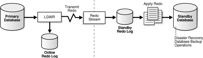 Description of Figure 1-1 follows