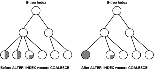 Description of Figure 19-1 follows