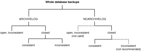 Description of Figure 15-1 follows