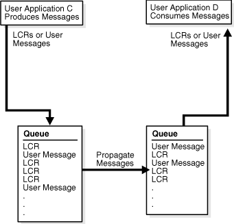 Description of Figure 1-6 follows