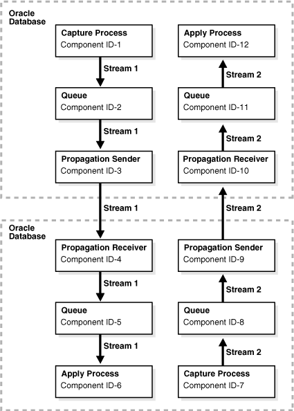 Description of Figure 24-1 follows