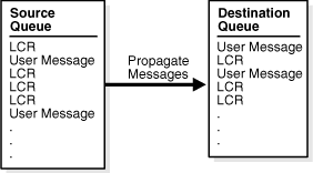 Description of Figure 1-6 follows