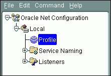 Description of netmgr_profile.gif follows