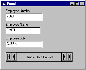 actual form as it appears when it runs, with sample data