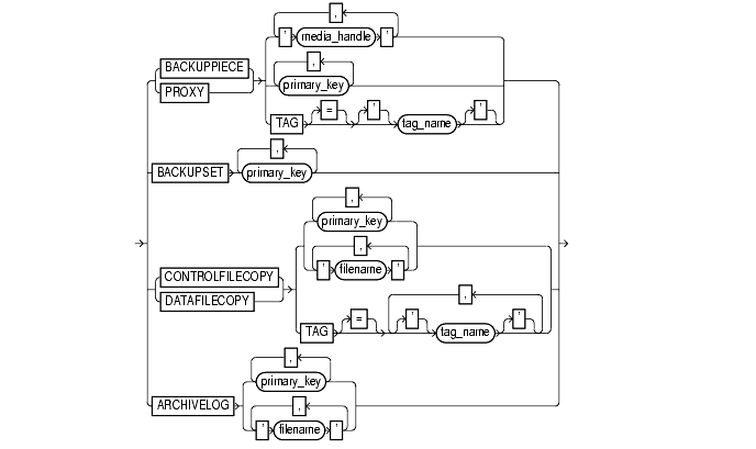 Text description of recordSpec.gif follows