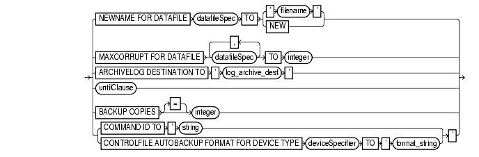 Text description of set_run_option.gif follows