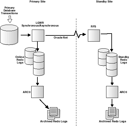 Text description of redologs.gif follows.