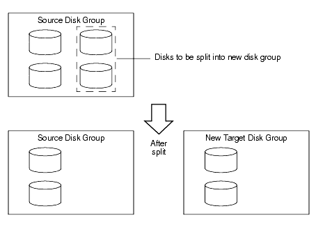 Disk Group Split Operation